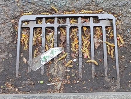 Example of a gully blocked with silt