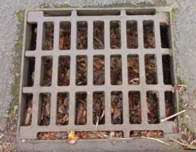 Example of a gully full of leaves