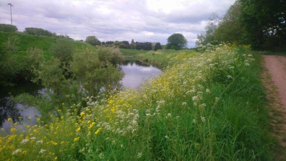 Mersey river walk