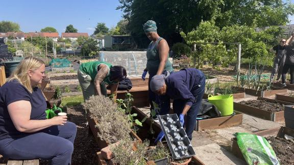 Grenville Park allotment site residents planting 