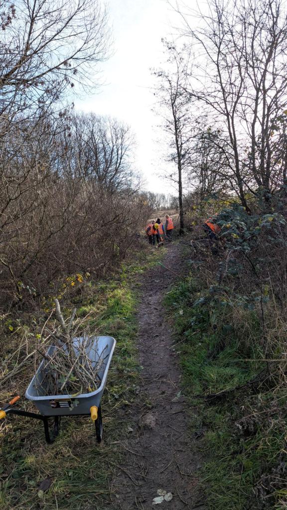 Stretford Meadows