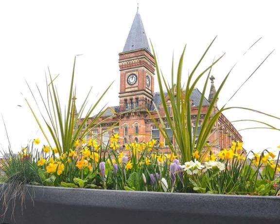 Bright spring flowers and tall green plants in a large planter with the historic clock tower of the Stretford Public Hall in the background.