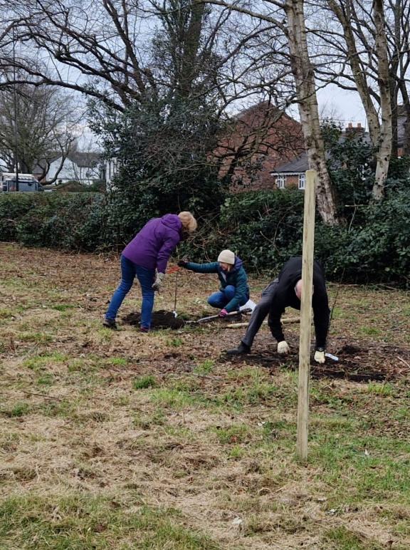 William Wroe Meadows planting 2