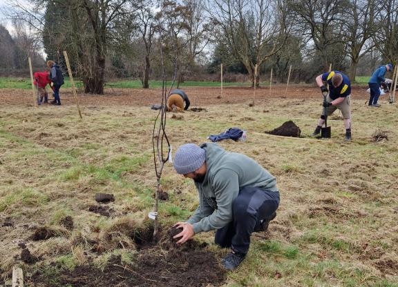 William Wroe Meadows planting 3