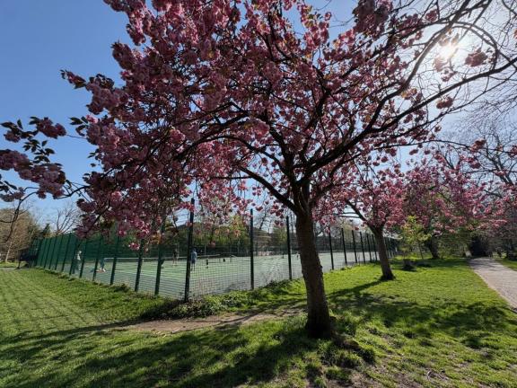 Longford Park tennis courts