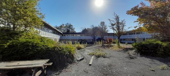 Sunlit courtyard enclosed by a two-storey building, with overgrown vegetation covering cracked pavement and planting beds.