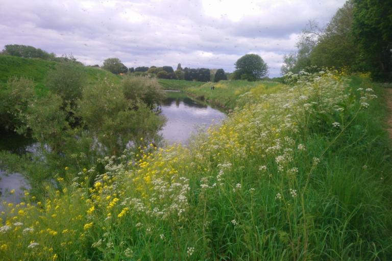 Mersey river walk