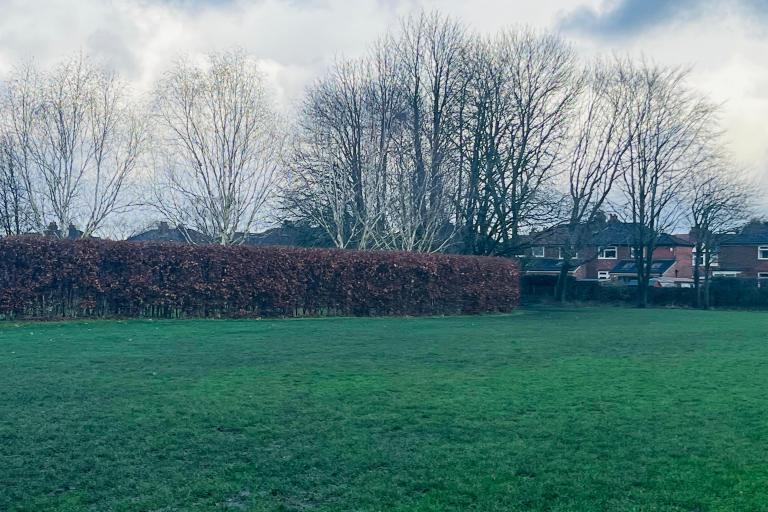Maintained hedges, trees and shrubs at Woodheys Park