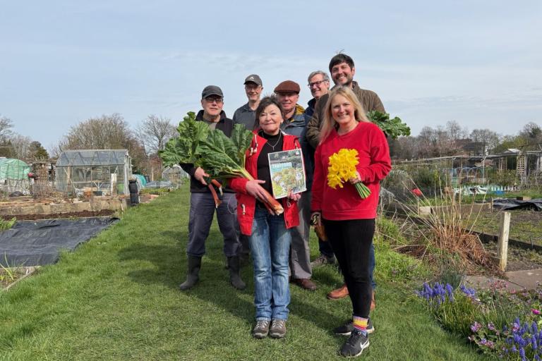 Allotment strategy 2