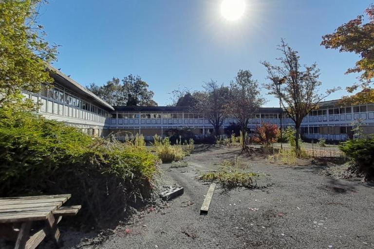 Sunlit courtyard enclosed by a two-storey building, with overgrown vegetation covering cracked pavement and planting beds.